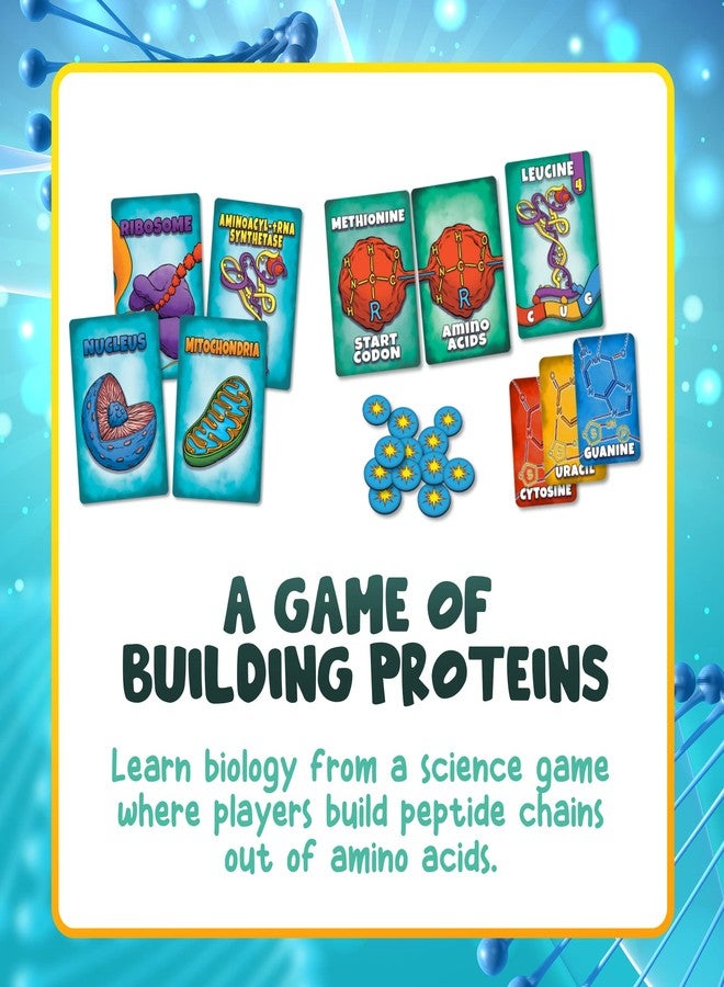 Genius Games Peptide: A Protein Building Game | A Strategy Card Game with Accurate Science for Gamers and Teachers | Teaches Amino Acids, mRNA, Organelles - Image 5